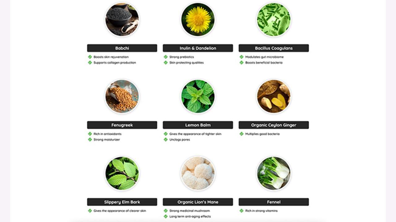 Neotonics ingredients
